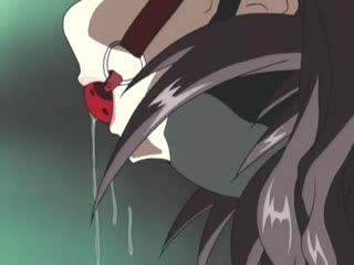 (18禁アニメ) [2003-11-28]（無修正）[DISCOVERY] PIGEON BLOOD -ピジョンブラッド- 1st Trainig图片